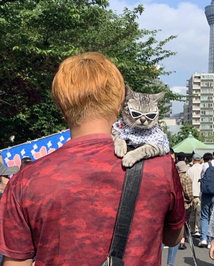 Daily Picdump