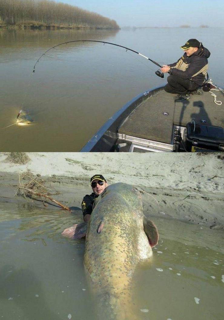 Daily Picdump