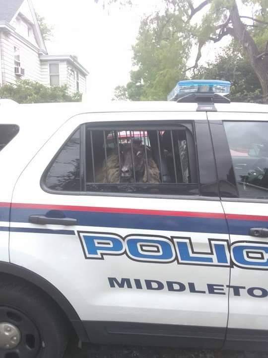 Daily Picdump