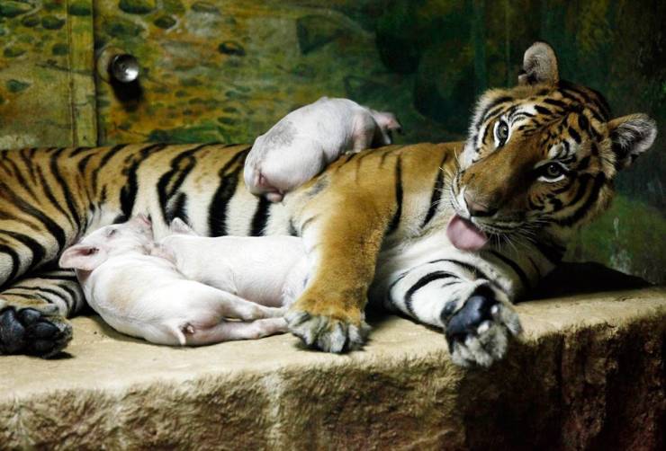 Daily Picdump