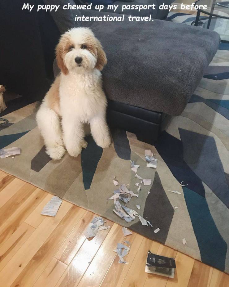Daily Picdump