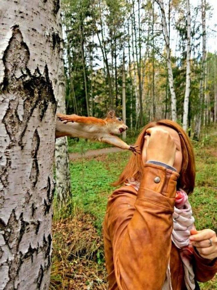 Daily Picdump