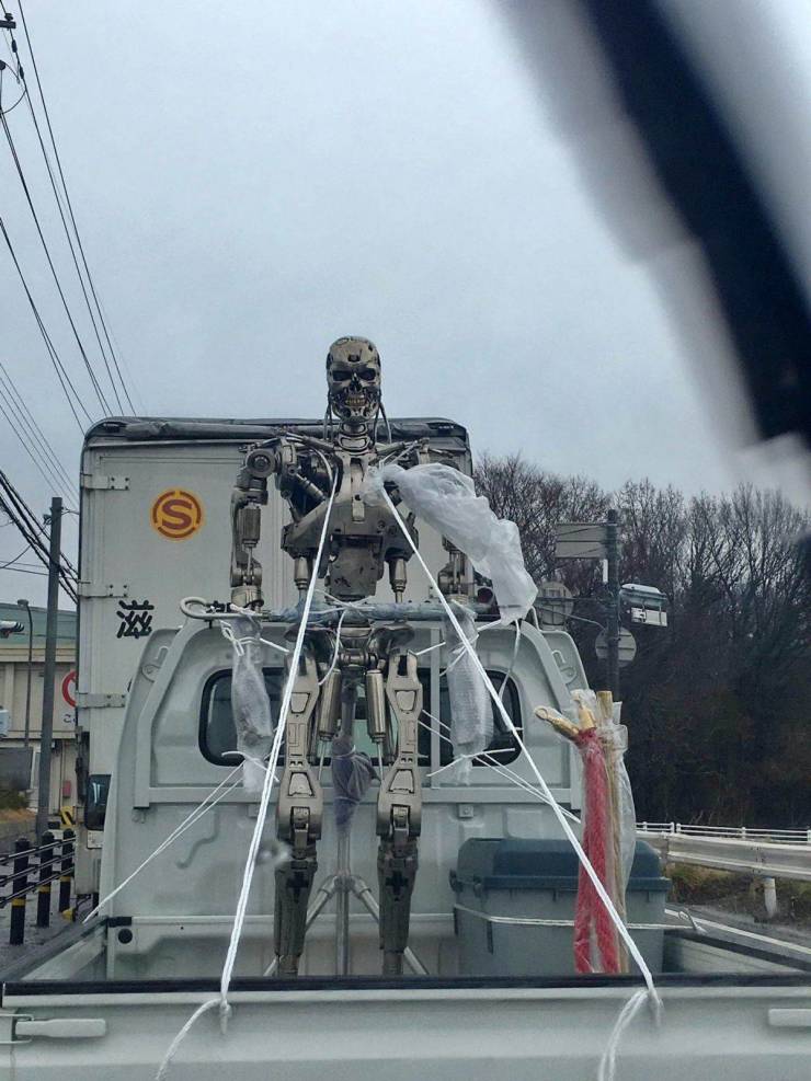 Content Image