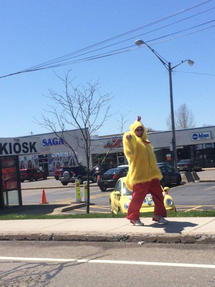 Content Image