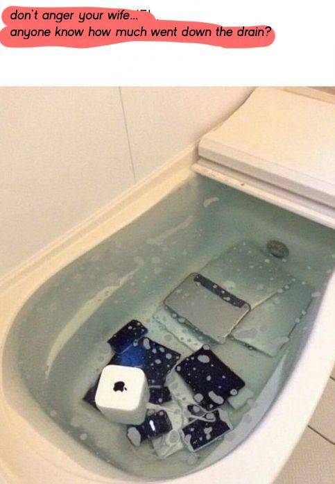 Content Image