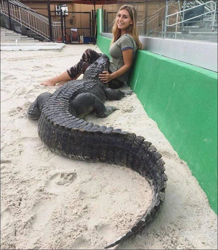 Morning Picdump