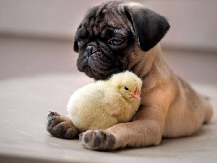 Daily Picdump
