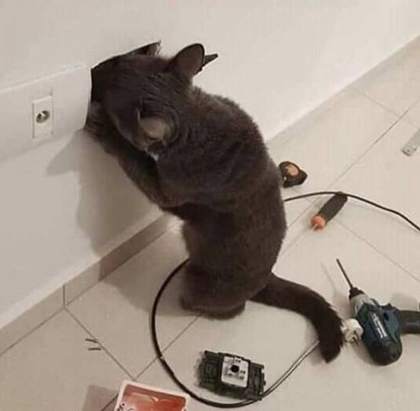 Daily Picdump