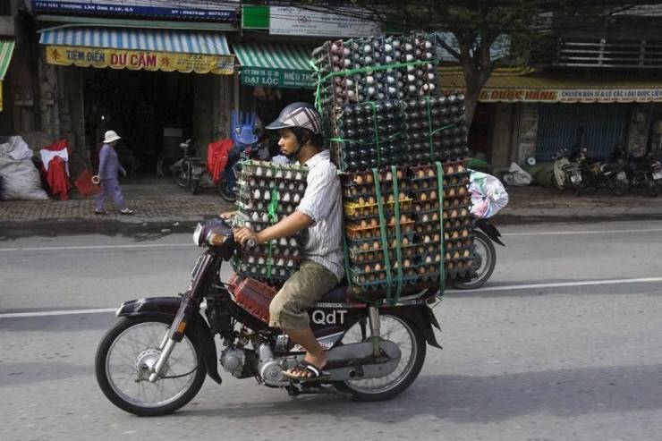 Daily Picdump