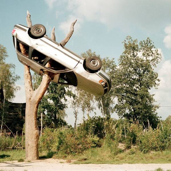 Daily Picdump
