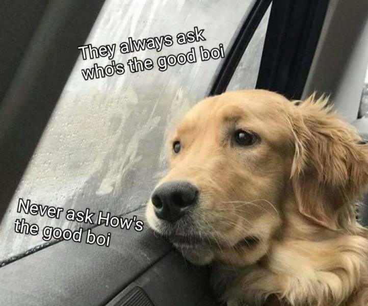 Funny Picdump