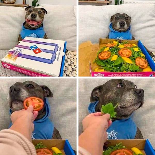 Content Image