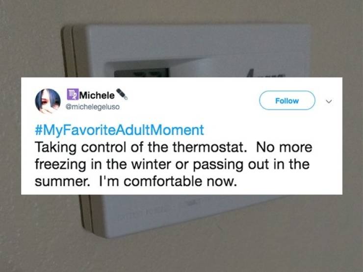 Okay, Adult Life Has Its Bonuses