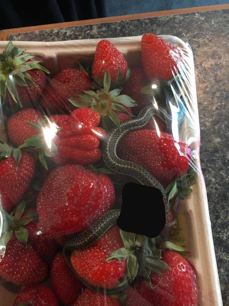 Morning Picdump