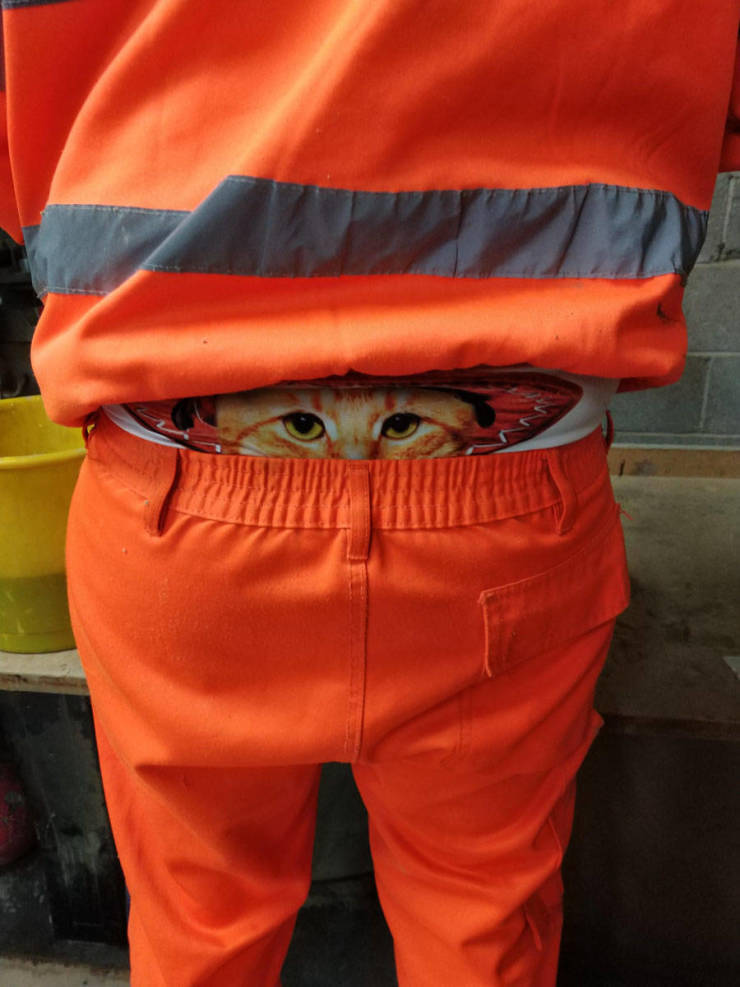 Content Image