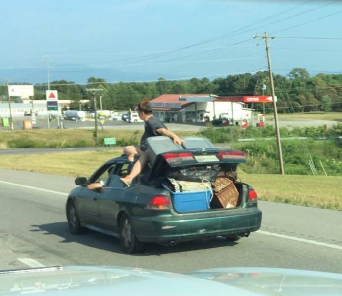 Daily Picdump