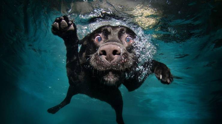 Daily Picdump