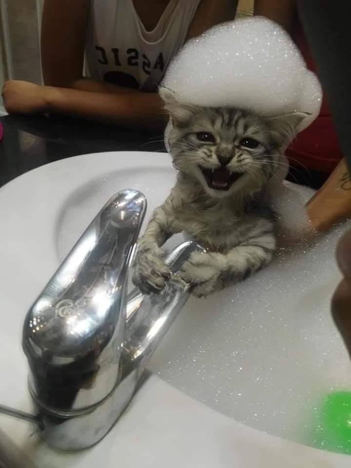 Daily Picdump