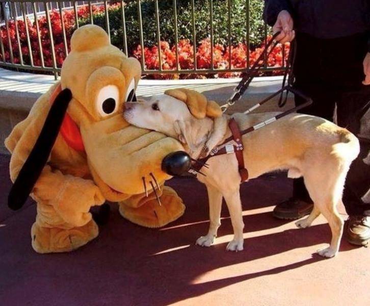 Content Image