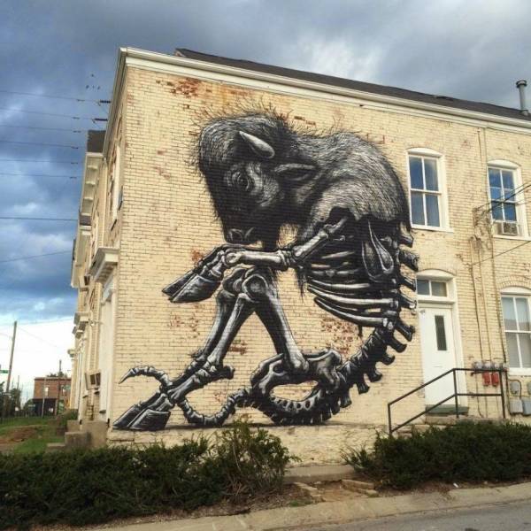 Daily Picdump