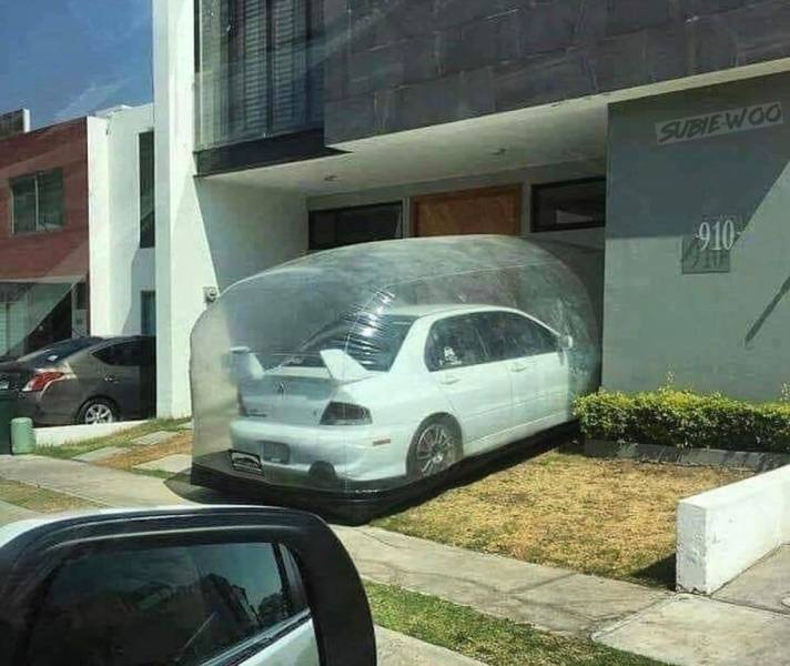 Daily Picdump