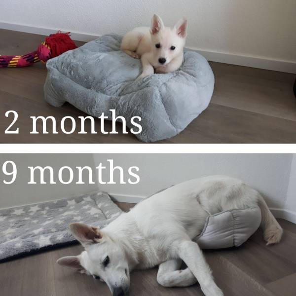 Daily Picdump