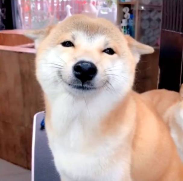 Daily Picdump