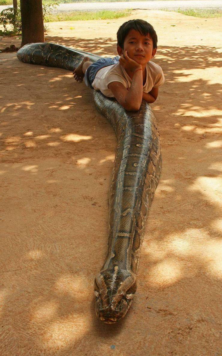 Daily Picdump