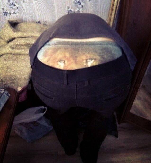 Content Image