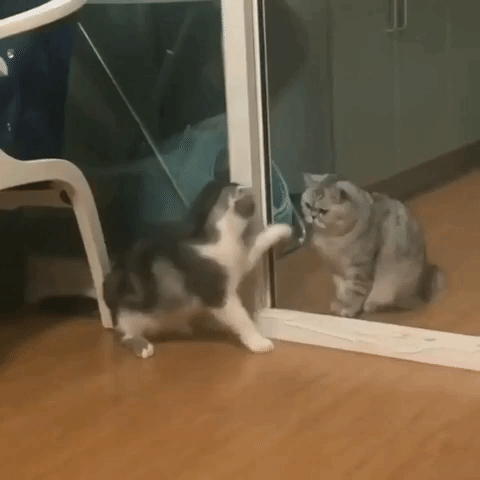 Regrets Incoming!