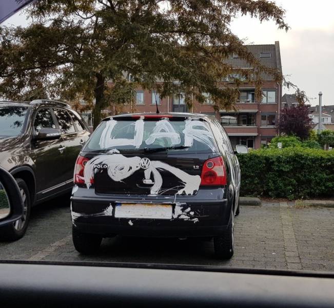 Daily Picdump
