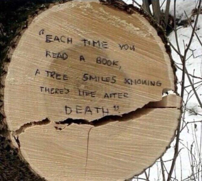 Daily Picdump