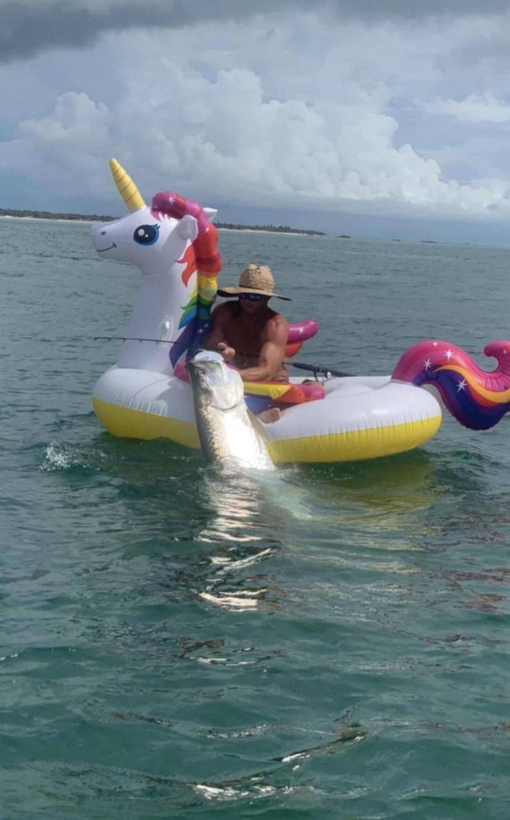 Daily Picdump