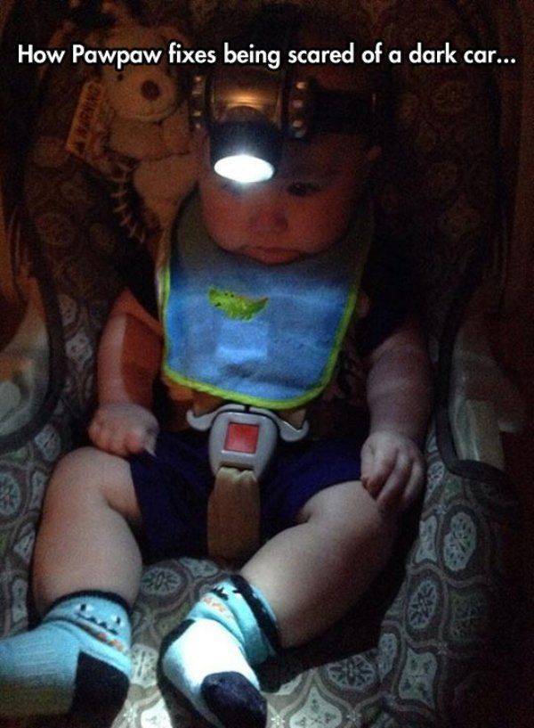 Daily Picdump