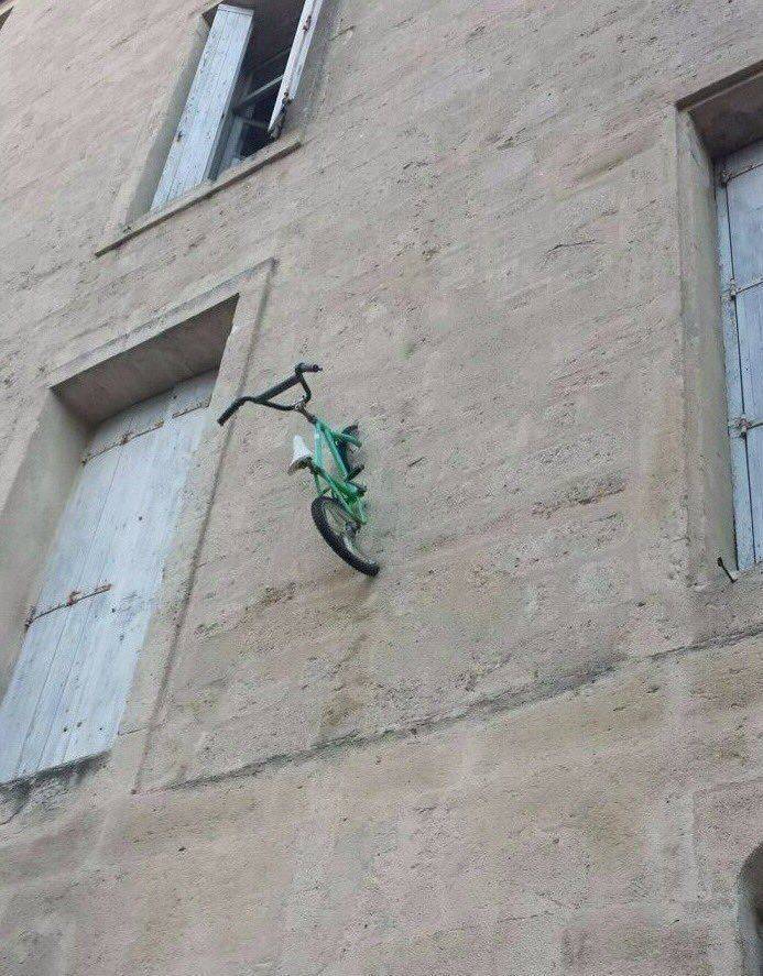Content Image