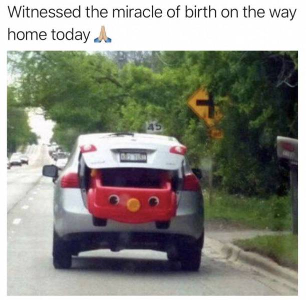 Morning Picdump