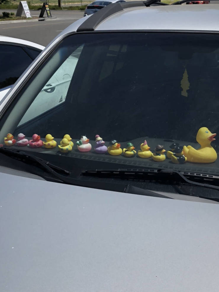 Morning Picdump