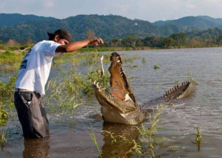 You Won’t Be Able To Repeat This