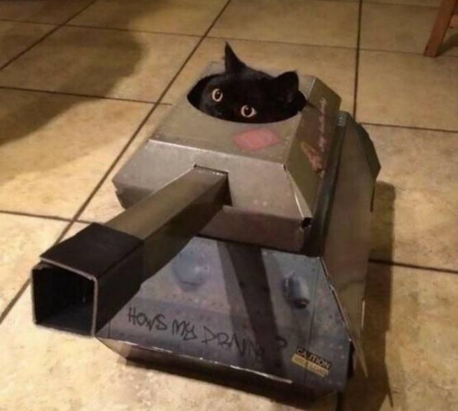 Daily Picdump