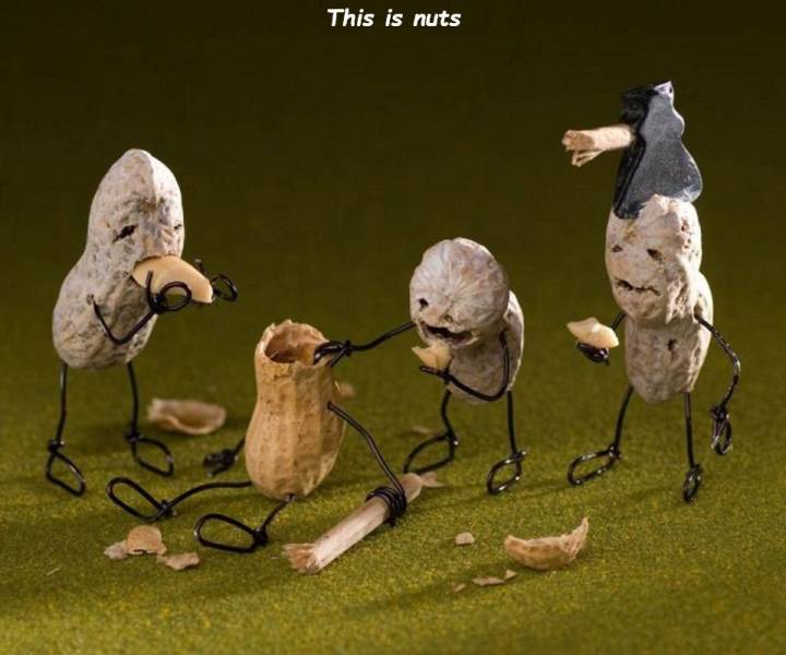 Daily Picdump
