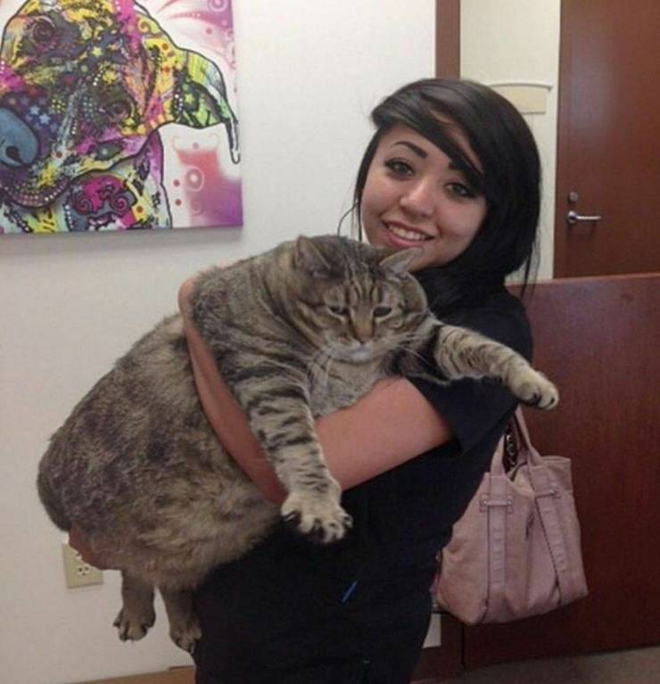 Content Image