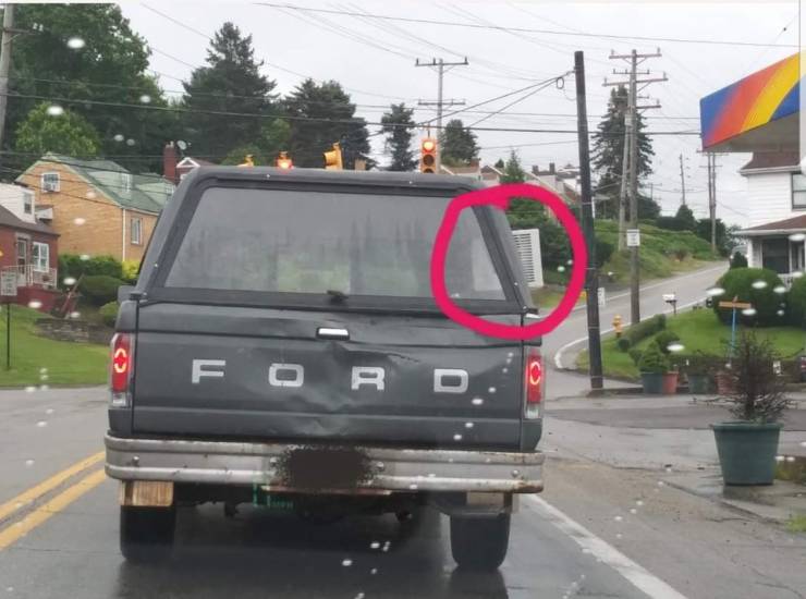 Morning Picdump