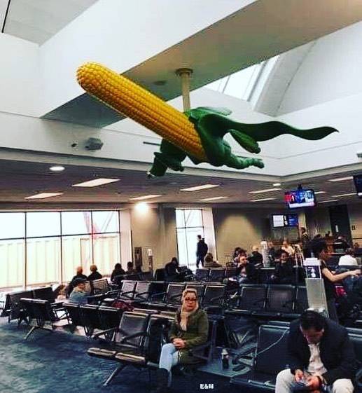 Morning Picdump