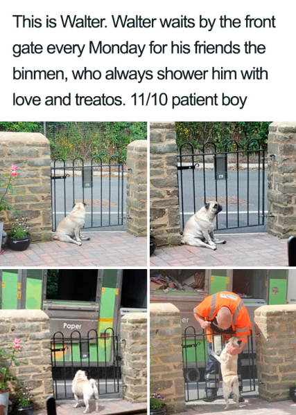 Content Image