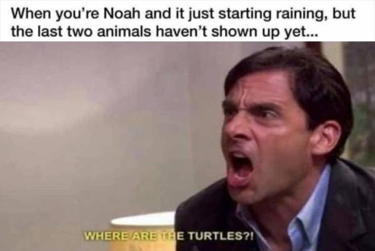 Content Image