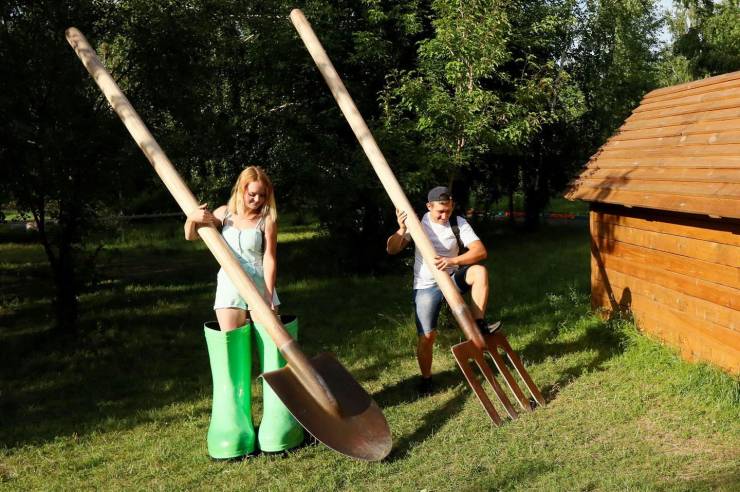 Daily Picdump
