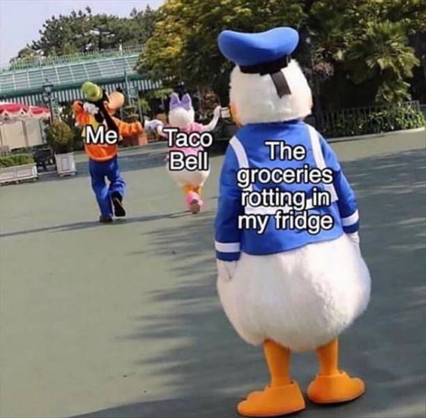 Content Image