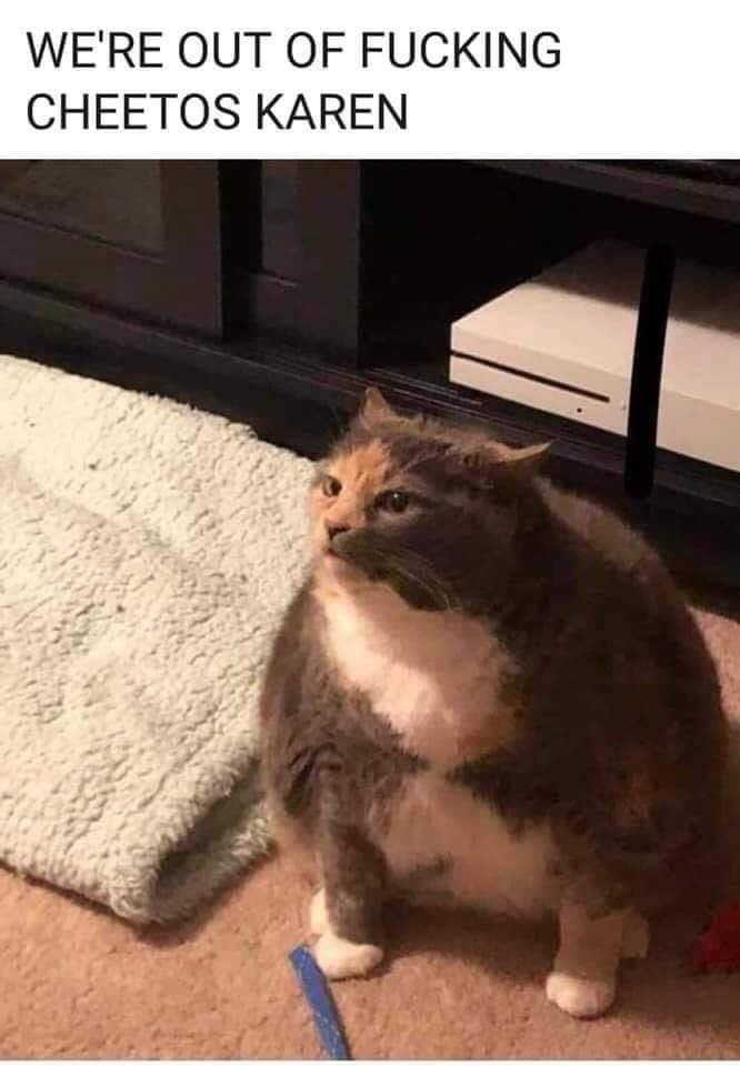 Content Image