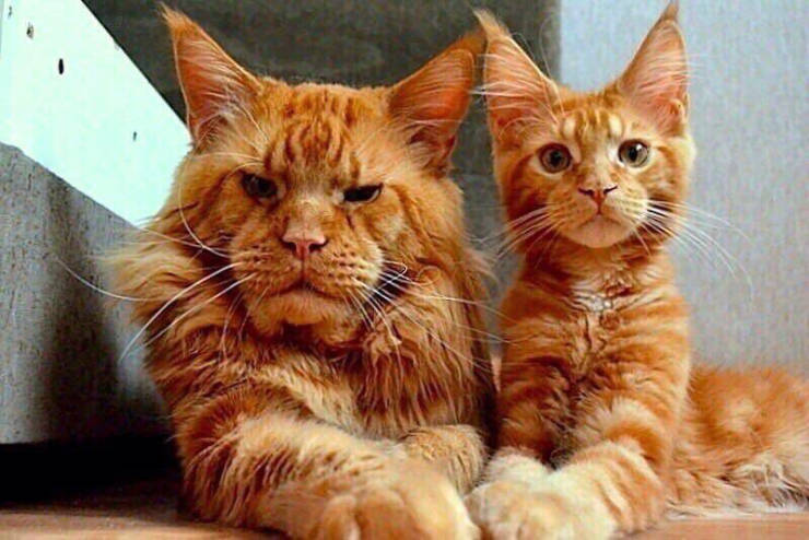 Morning Picdump