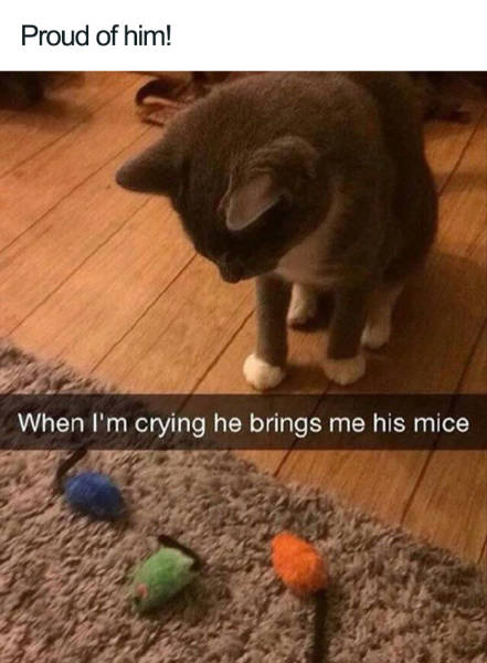 Content Image